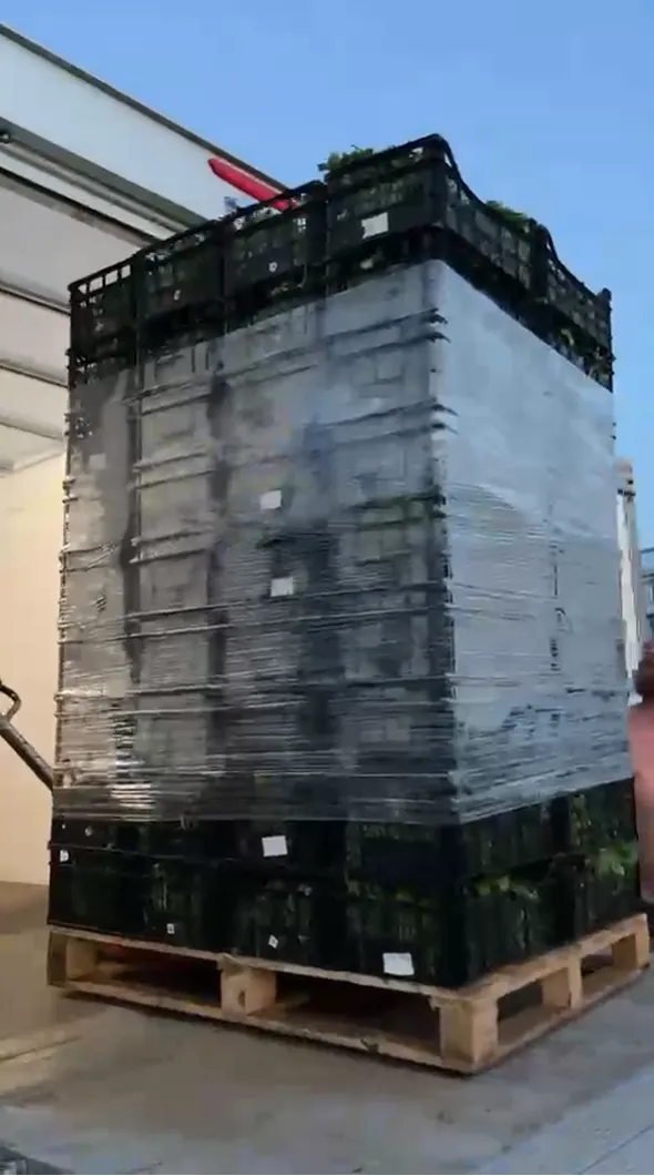 delivery truck