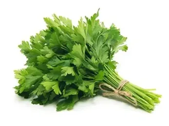 Parsley
